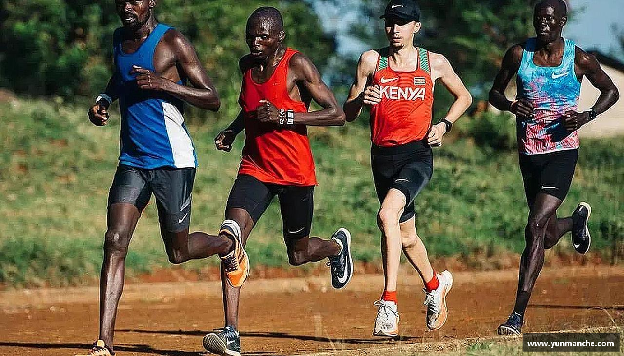 3377平台坚韧不拔，夺取荣耀！